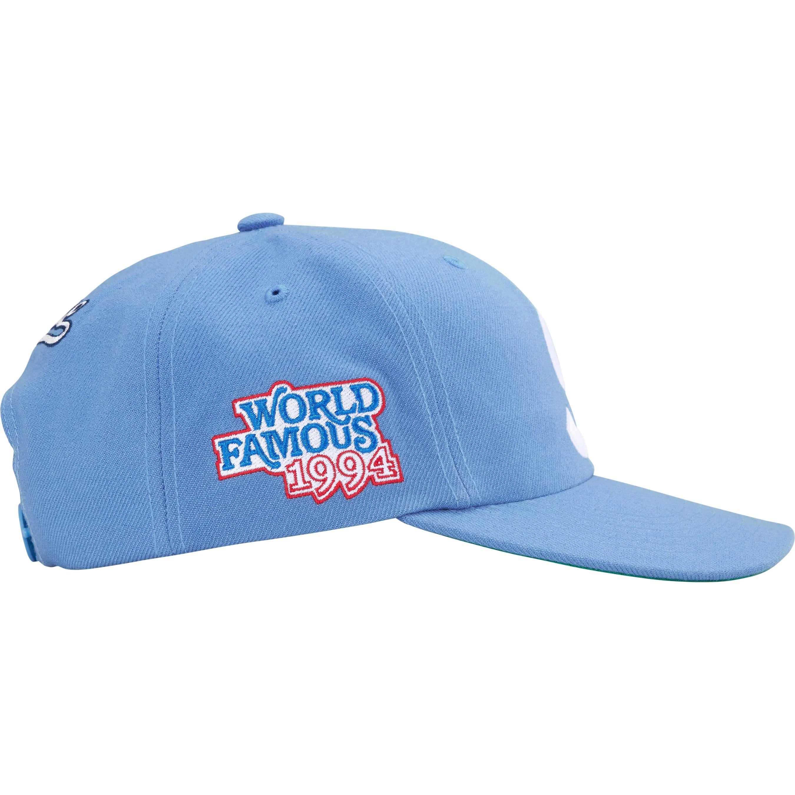 World Famous S Logo 6-Panel view 13